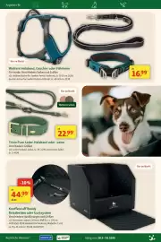 Fressnapf Prospekt Seite 10