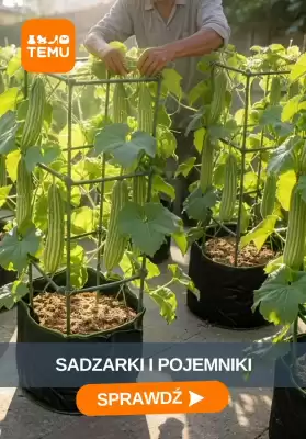 Temu (ważność do 11-06)