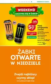 Żabka gazetka Strona 9