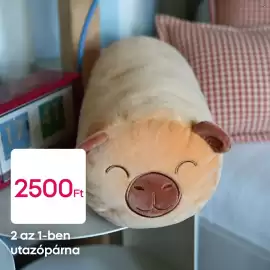 Pepco akciós újság Oldal 2