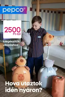 Pepco akciós újság (érvényes eddig: 4-06)