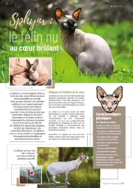 Catalogue VillaVerde page 11