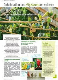 Catalogue VillaVerde page 14