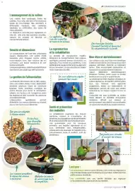 Catalogue VillaVerde page 15