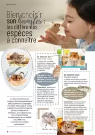 Catalogue VillaVerde page 16