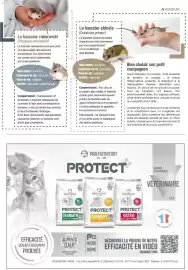 Catalogue VillaVerde page 17