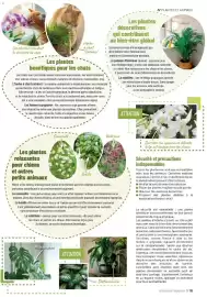 Catalogue VillaVerde page 19