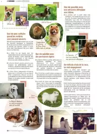Catalogue VillaVerde page 26