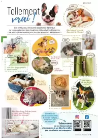 Catalogue VillaVerde page 31