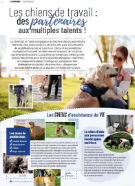 Catalogue VillaVerde page 36