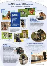 Catalogue VillaVerde page 37