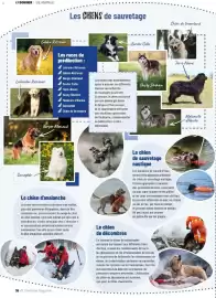 Catalogue VillaVerde page 38