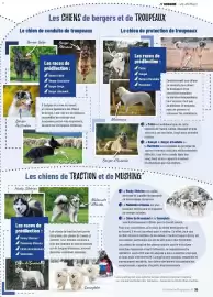 Catalogue VillaVerde page 39