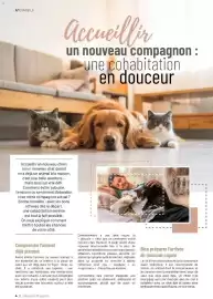 Catalogue VillaVerde page 4
