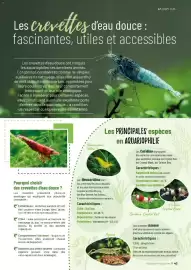 Catalogue VillaVerde page 43
