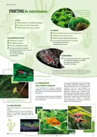Catalogue VillaVerde page 44