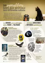 Catalogue VillaVerde page 46