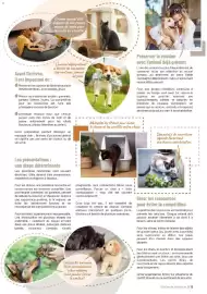 Catalogue VillaVerde page 5