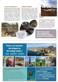 Catalogue VillaVerde page 51
