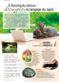 Catalogue VillaVerde page 8
