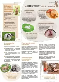 Catalogue VillaVerde page 9