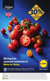 Lidl leaflet week 23 Page 28
