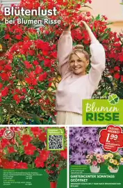 Blumen Risse Prospekt Seite 1