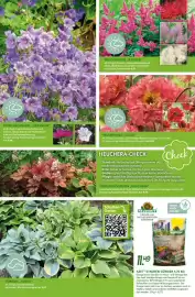 Blumen Risse Prospekt Seite 11