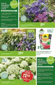 Blumen Risse Prospekt Seite 8