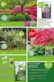 Blumen Risse Prospekt Seite 9