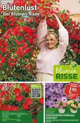 Blumen Risse (gültig bis 7-06)