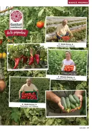 Catalog Mega Image Pagină 29