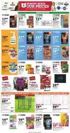 Rural King weekly ad Page 6