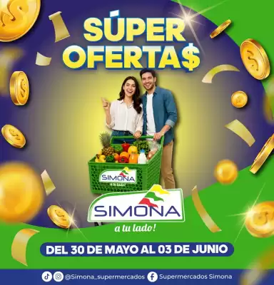 Catálogo Simona (válido hasta 3-06)