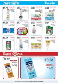 Volantino Caramico Pagina 7