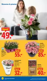 Lidl tilbudsavis Side 6