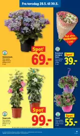 Lidl tilbudsavis Side 7