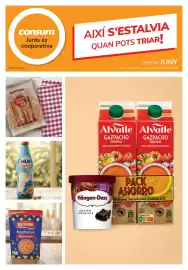 Catálogo Consum semana 22 Página 1