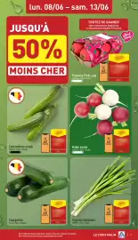 ALDI Dépliant week 24 Pagina 3