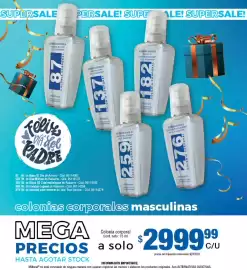 Catálogo Millanel Cosmética Página 104