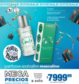 Catálogo Millanel Cosmética Página 106