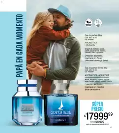 Catálogo Millanel Cosmética Página 17