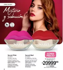 Catálogo Millanel Cosmética Página 48