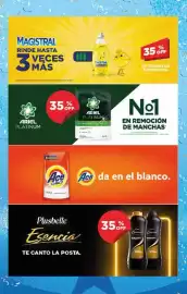 Folleto Supermercados DIA semana 22 Página 14