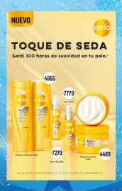 Folleto Supermercados DIA semana 22 Página 15