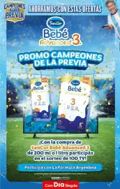 Folleto Supermercados DIA semana 22 Página 18
