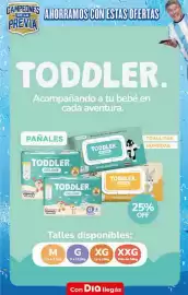Folleto Supermercados DIA semana 22 Página 29