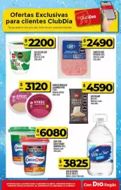 Folleto Supermercados DIA semana 22 Página 48