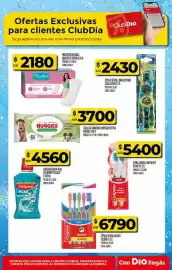 Folleto Supermercados DIA semana 22 Página 49