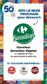Catalogue Carrefour page 25
